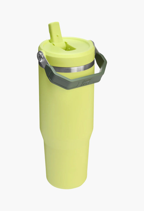 Prickly Pear - The IceFlow™ Flip Straw Tumbler | 30 OZ - GLAM MODA